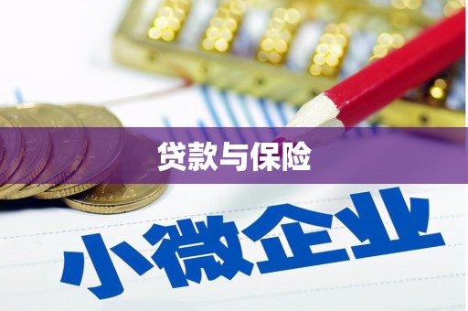碑林贷款与保险