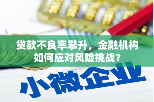 碑林贷款不良率攀升，金融机构如何应对风险挑战？