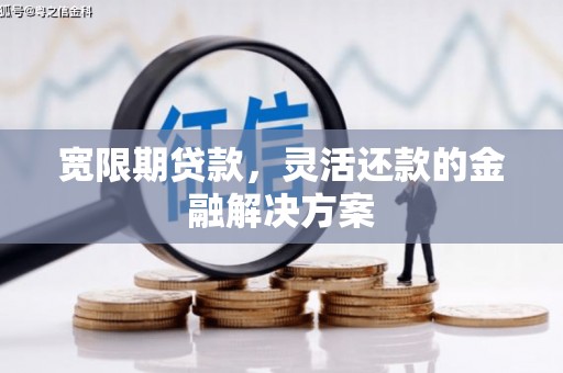 碑林宽限期贷款，灵活还款的金融解决方案