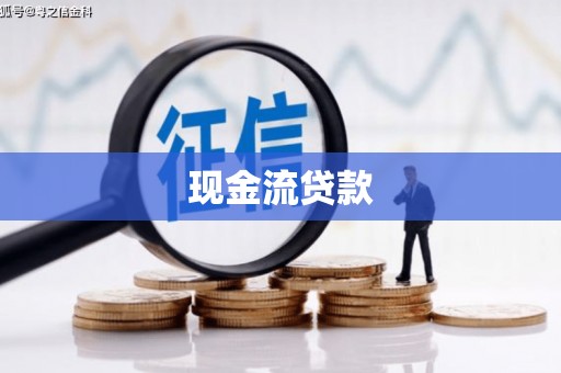 碑林现金流贷款