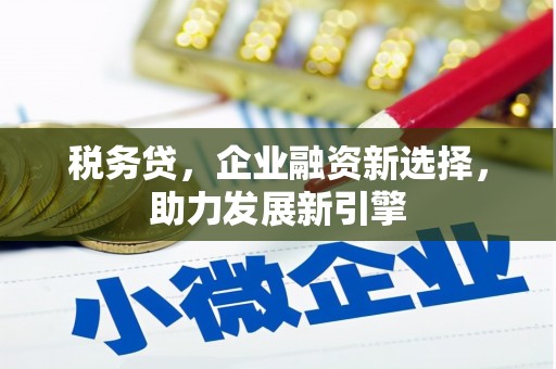 碑林税务贷，企业融资新选择，助力发展新引擎