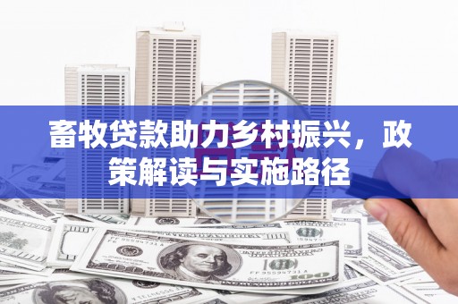 碑林畜牧贷款助力乡村振兴，政策解读与实施路径
