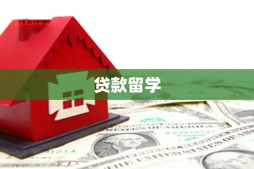 碑林贷款留学