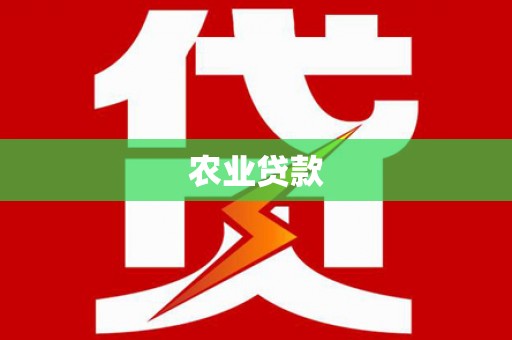 碑林农业贷款