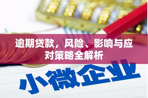 碑林逾期贷款，风险、影响与应对策略全解析