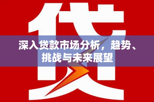 碑林深入贷款市场分析，趋势、挑战与未来展望