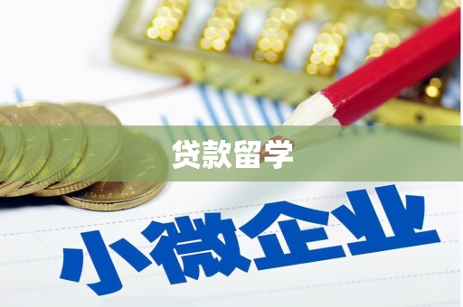 碑林贷款留学