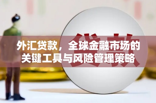 碑林外汇贷款，全球金融市场的关键工具与风险管理策略