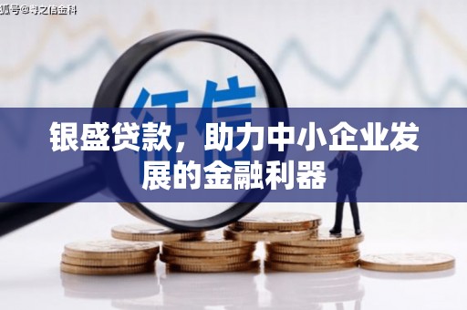 碑林银盛贷款，助力中小企业发展的金融利器