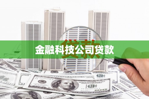 碑林金融科技公司贷款