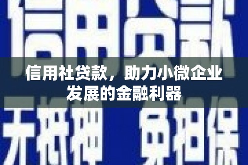 碑林信用社贷款，助力小微企业发展的金融利器