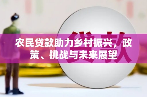 碑林农民贷款助力乡村振兴，政策、挑战与未来展望