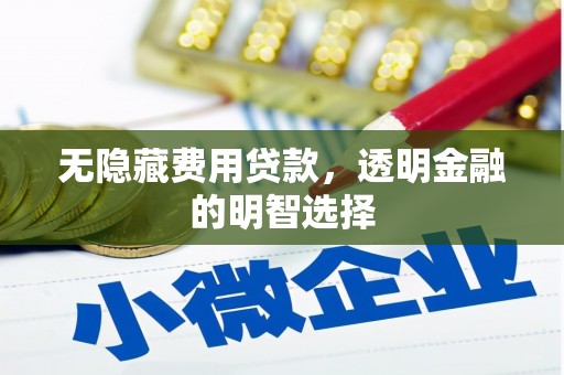 碑林无隐藏费用贷款，透明金融的明智选择