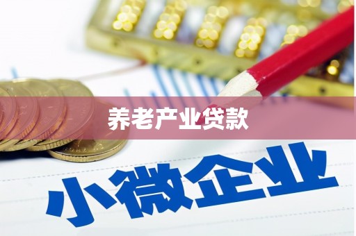 碑林养老产业贷款