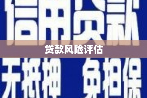 碑林贷款风险评估