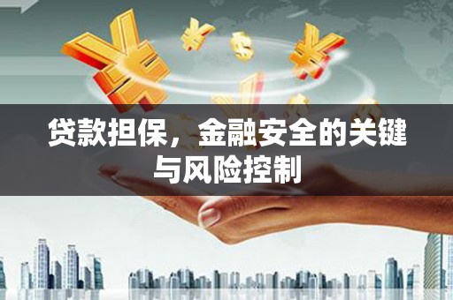 碑林贷款担保，金融安全的关键与风险控制