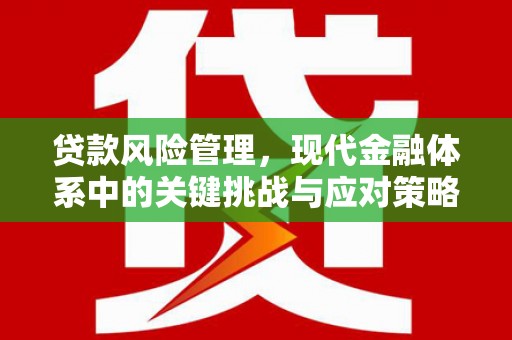 碑林贷款风险管理，现代金融体系中的关键挑战与应对策略