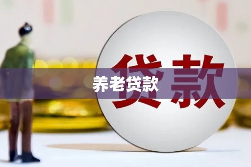 碑林养老贷款