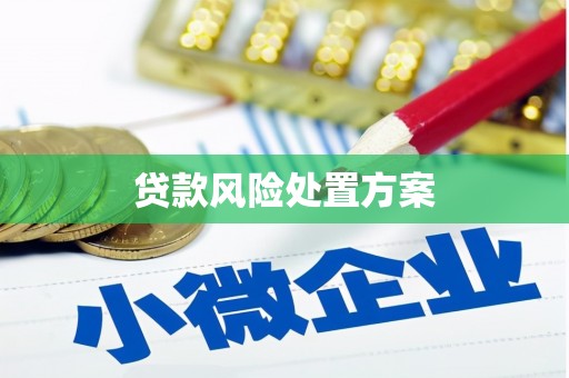 碑林贷款风险处置方案