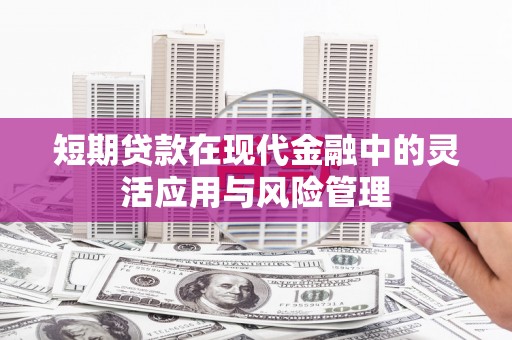 碑林短期贷款在现代金融中的灵活应用与风险管理