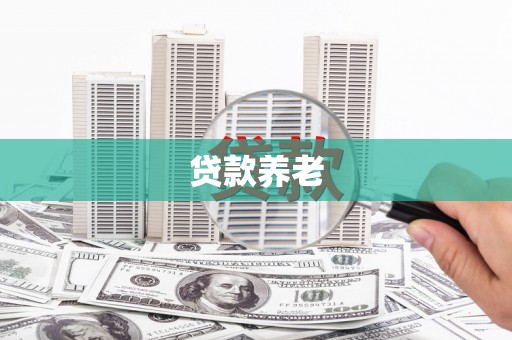 碑林贷款养老