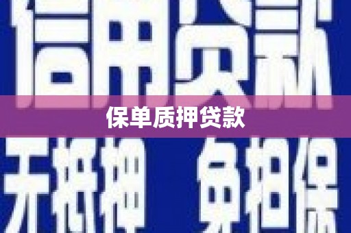 碑林保单质押贷款