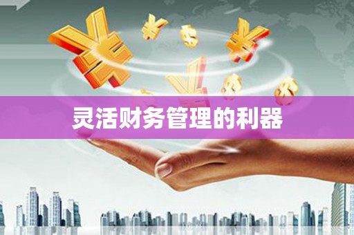 碑林灵活财务管理的利器