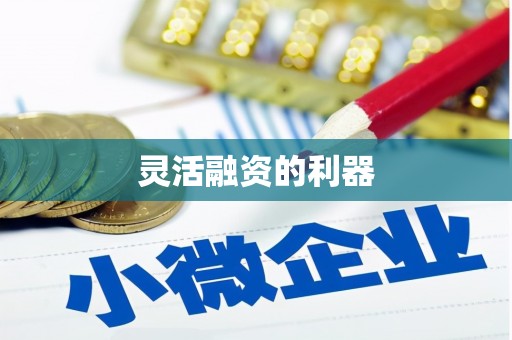 碑林灵活融资的利器