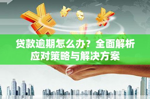 碑林贷款逾期怎么办？全面解析应对策略与解决方案