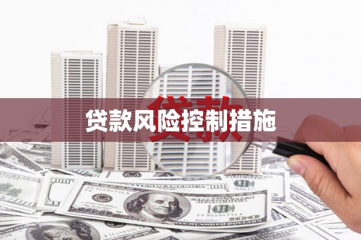 碑林贷款风险控制措施
