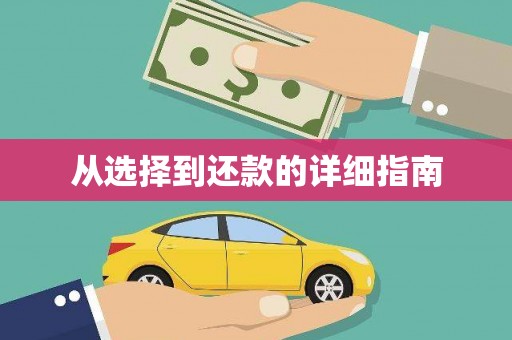 碑林从选择到还款的详细指南