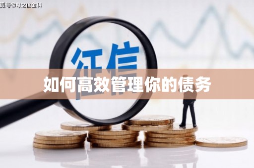 碑林如何高效管理你的债务