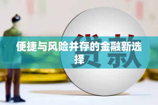 碑林便捷与风险并存的金融新选择