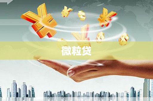 碑林微粒贷
