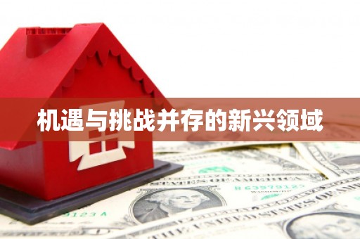 碑林机遇与挑战并存的新兴领域
