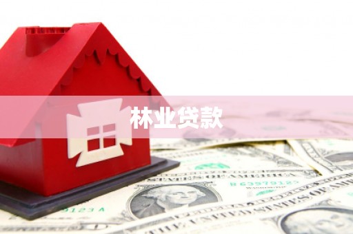 碑林林业贷款