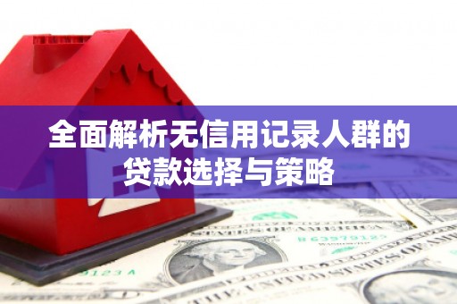 碑林全面解析无信用记录人群的贷款选择与策略