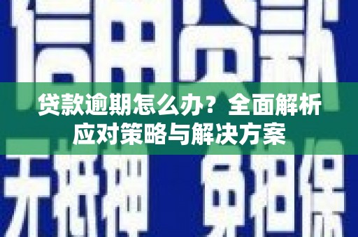 碑林贷款逾期怎么办？全面解析应对策略与解决方案