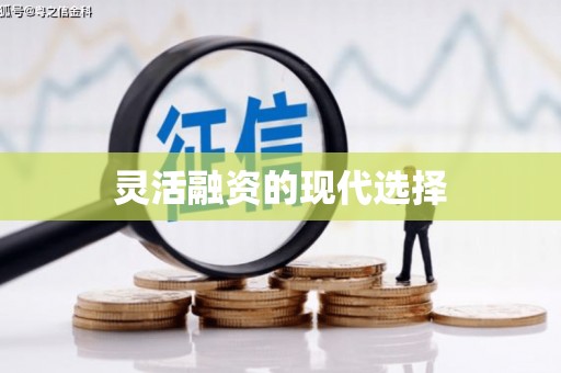 碑林灵活融资的现代选择