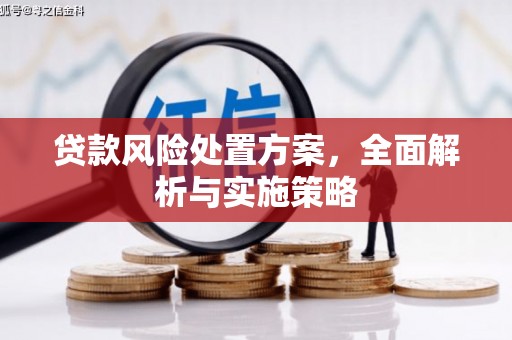 碑林贷款风险处置方案，全面解析与实施策略