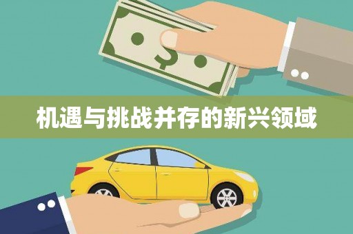 碑林机遇与挑战并存的新兴领域