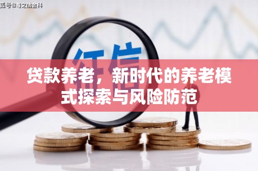 碑林贷款养老，新时代的养老模式探索与风险防范