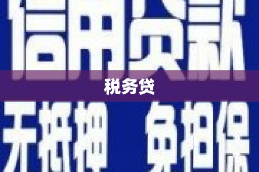碑林税务贷