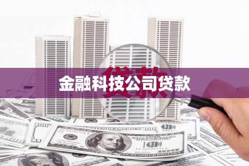 碑林金融科技公司贷款