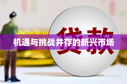碑林机遇与挑战并存的新兴市场