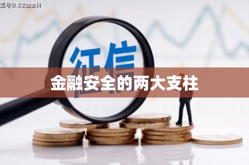 碑林金融安全的两大支柱