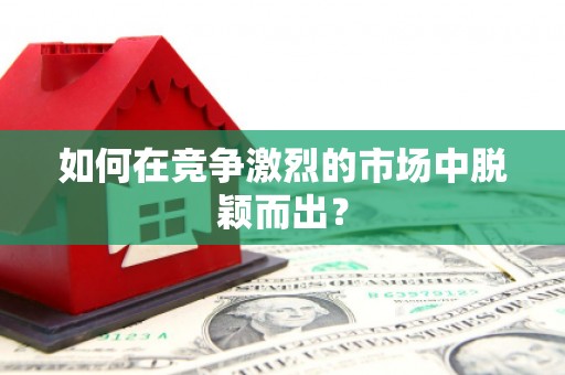 碑林如何在竞争激烈的市场中脱颖而出？