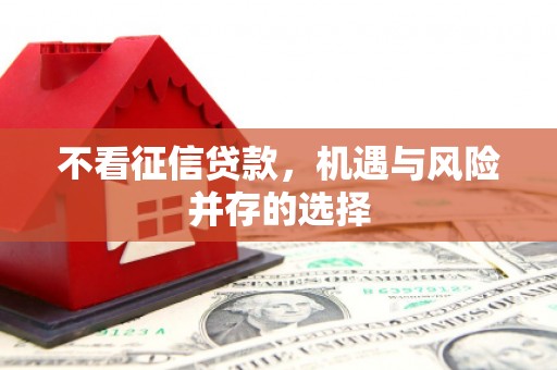 碑林不看征信贷款，机遇与风险并存的选择