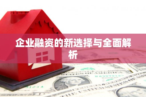 碑林企业融资的新选择与全面解析