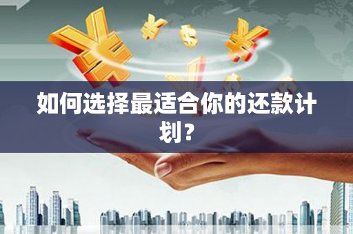 碑林如何选择最适合你的还款计划？